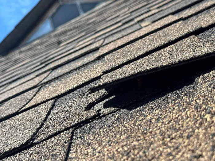 1Call Restore Picture 10