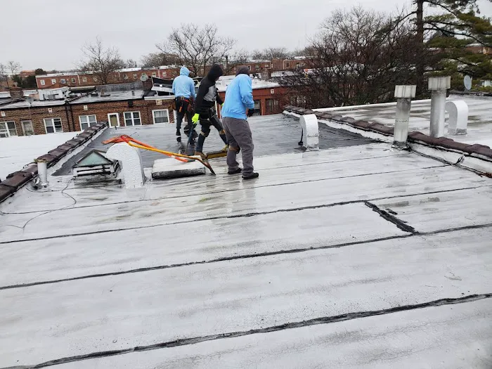 New Look Roofing Picture 8