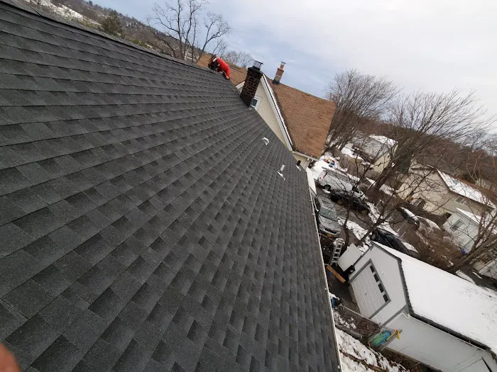 New Look Roofing Picture 6