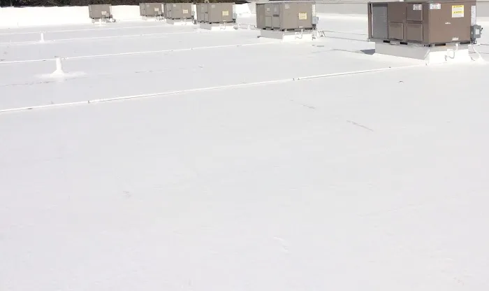 Pro-Seal Roof Coatings Picture 1