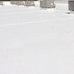 Pro-Seal Roof Coatings