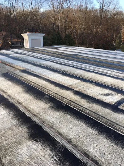 American Roof & Chimney Specialist Picture 4