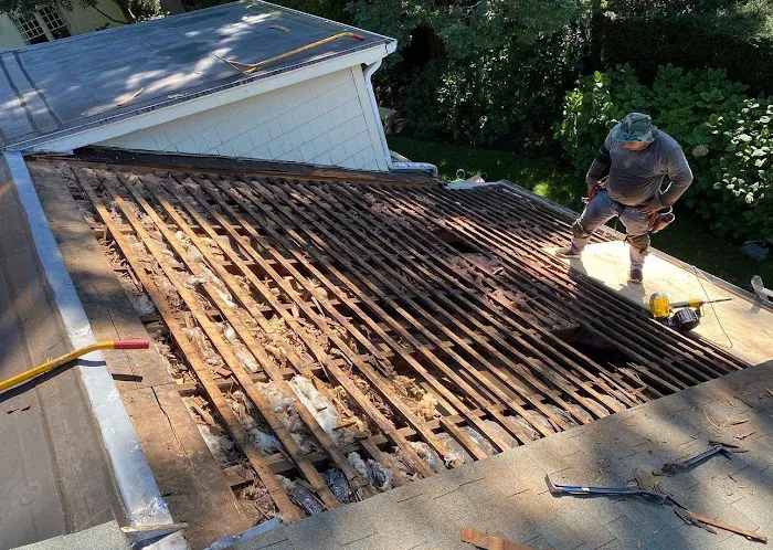 Right Service Skylight Repair and Roof Repair Picture 8