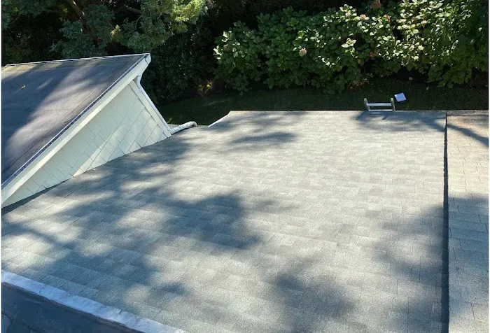 Right Service Skylight Repair and Roof Repair Picture 9