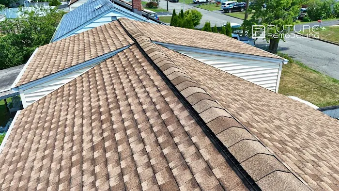 Future Remodeling Picture 1