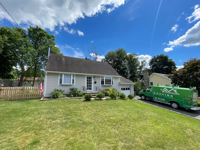 Dior Construction Picture 3