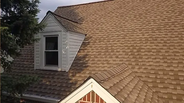 Dior Construction Picture 8