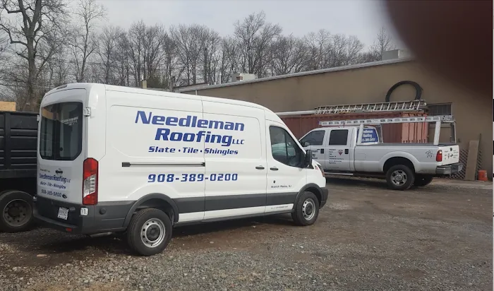 Needleman Roofing Picture 8