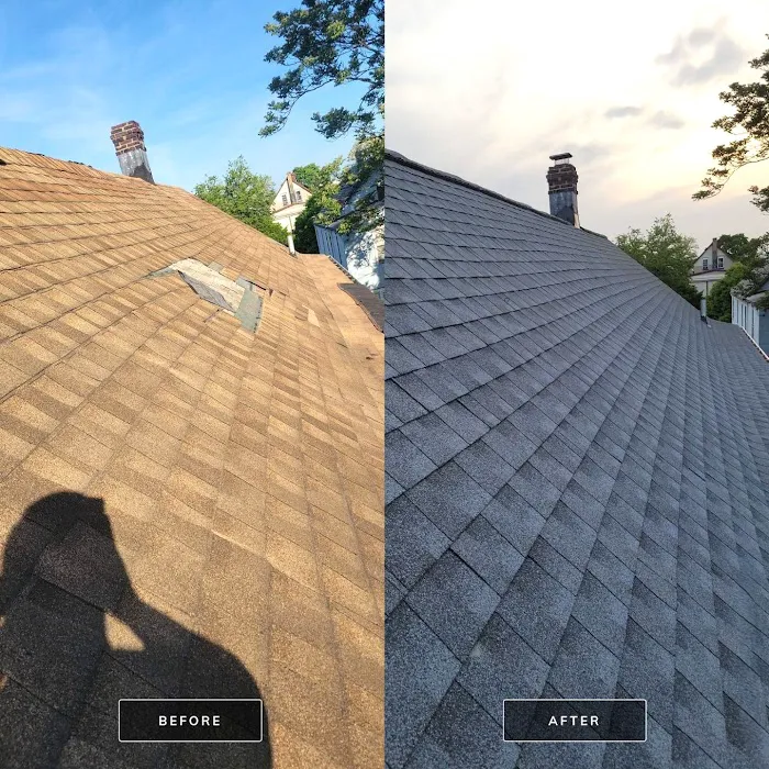 Villas Group Roofing Picture 9