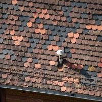 V & R Roofing Repair N Installation ico