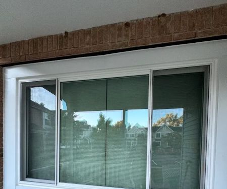 Green Star Exteriors