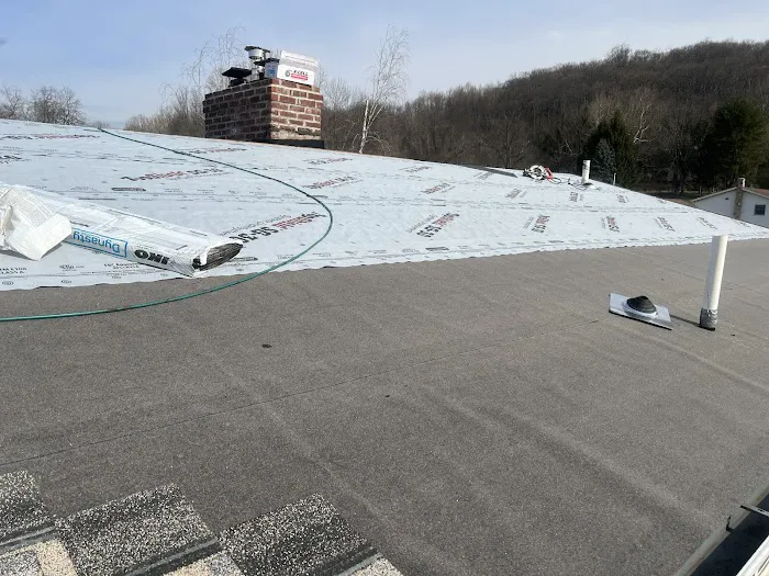 Penyak Roofing Since 1960 Picture 8