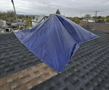 Pro Trends Construction