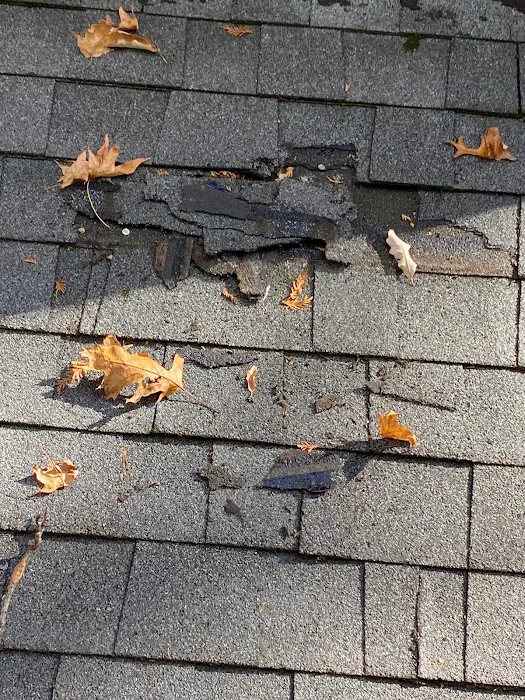 A1 Oasis Construction LLC - Roof Repair and Gutter Services Picture 8