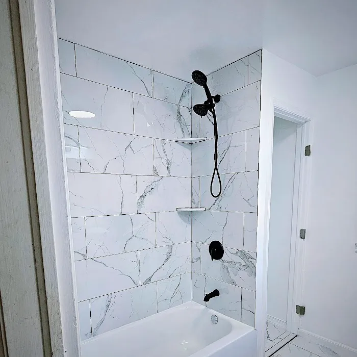 American Supreme Construction Picture 8