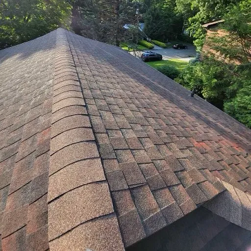 Storm Guard Roof Repair & Installation Picture 1
