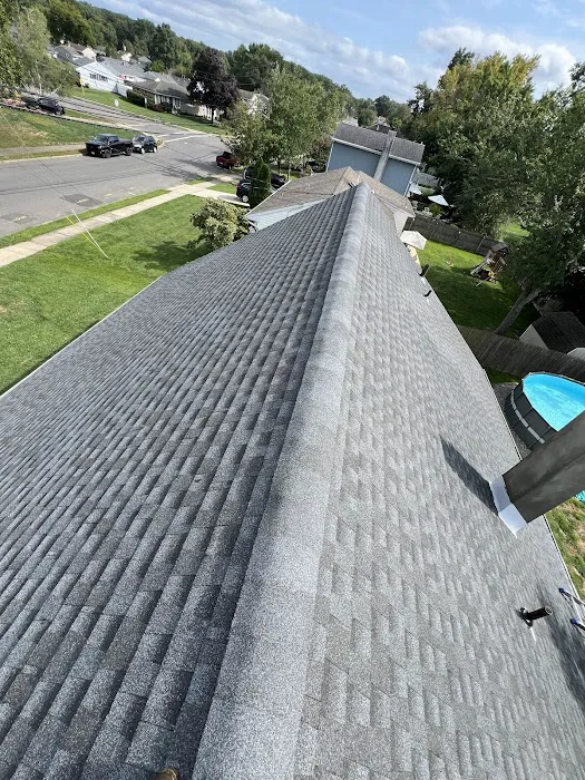 7 Days Roofing Picture 1