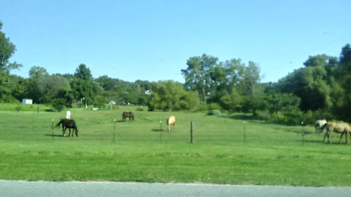 Top Pro Roofing Repair & Installation Maywood Picture 2