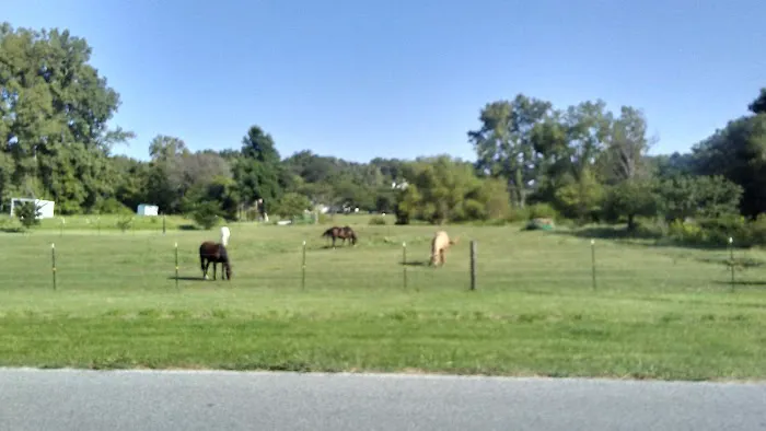 Top Pro Roofing Repair & Installation Maywood Picture 1