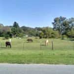 Top Pro Roofing Repair & Installation Maywood