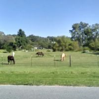 Top Pro Roofing Repair & Installation Maywood ico