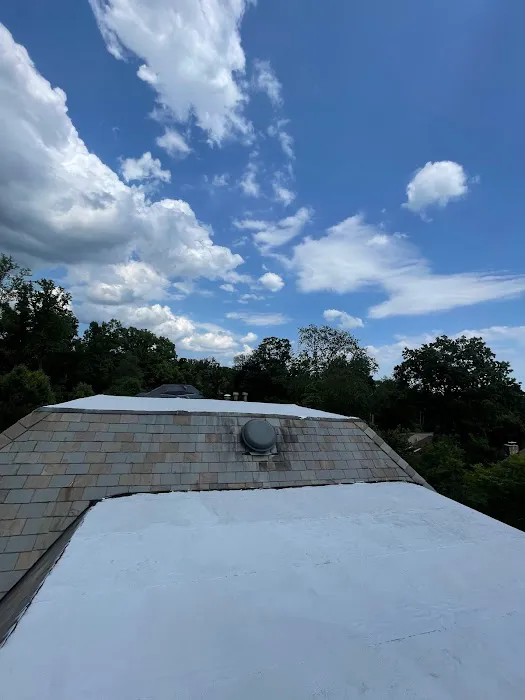 Supreme Island Roof Repair Picture 10