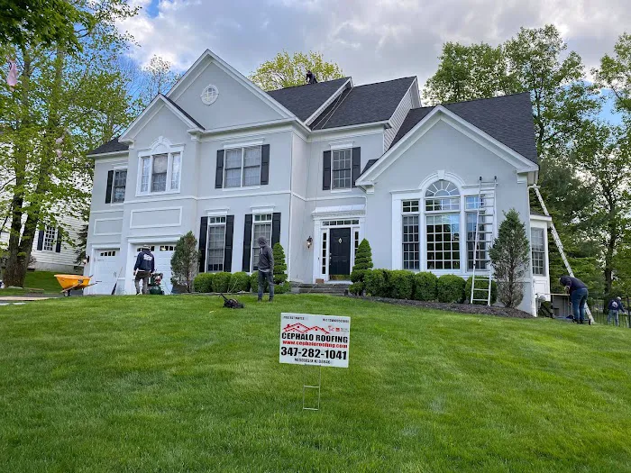 Cephalo Roofing Picture 1