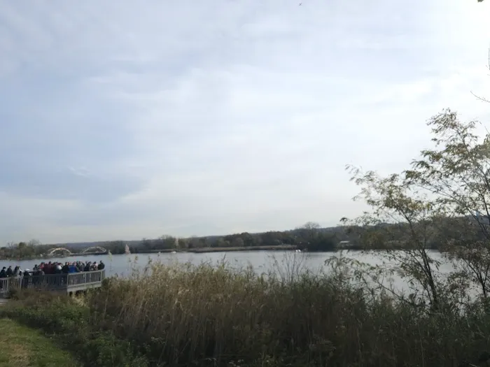 City New Roofing Picture 1