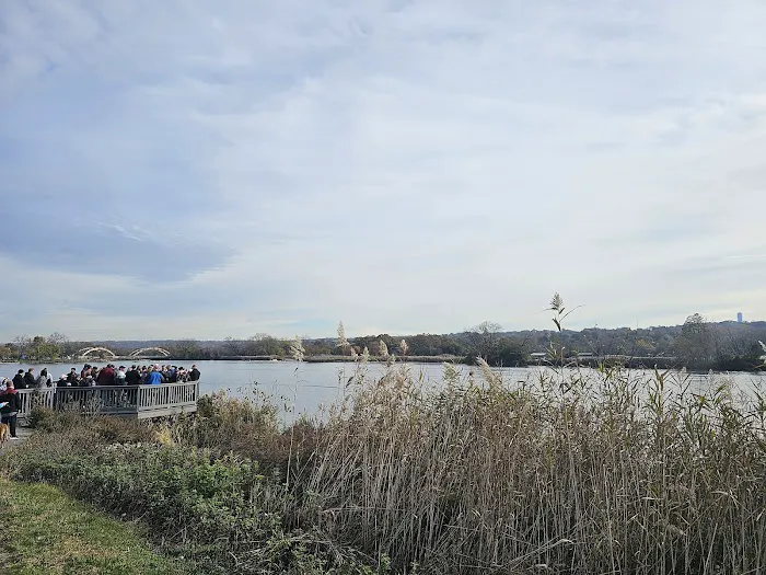 City New Roofing Picture 5