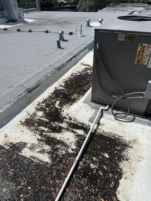 Maximum Roofing LLC Picture 10