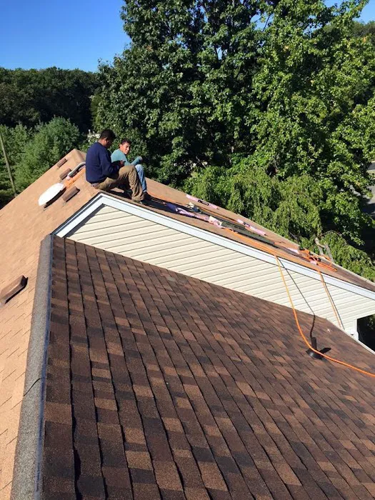 DBL Roofing Picture 2