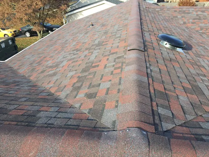 DBL Roofing Picture 3