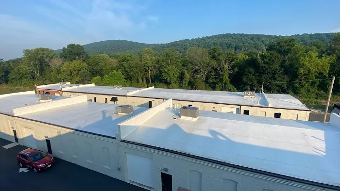 Executive Roofing Systems Picture 5