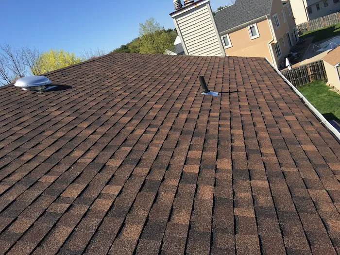 Extreme Team Construction Picture 2