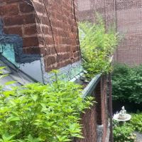 Hilltop Commercial Roofing ico