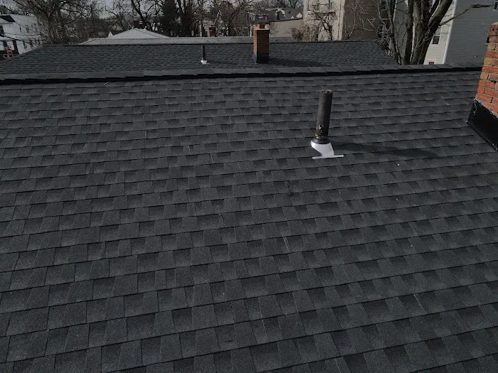 Simple Roofing Picture 6