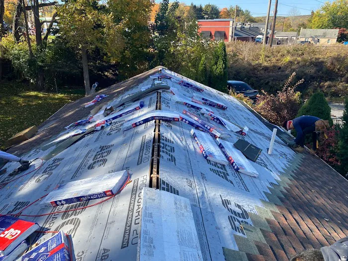 Simple Roofing Picture 4