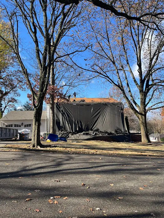 Royale Roofing & Chimney Picture 9