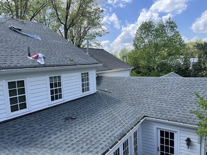 Royale Roofing & Chimney Picture 3