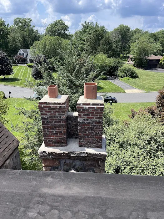 Royale Roofing & Chimney Picture 4