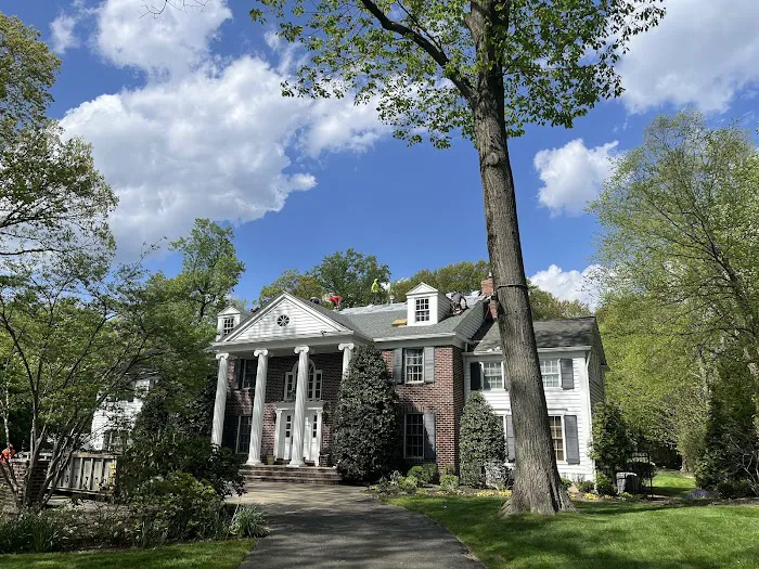 Royale Roofing & Chimney Picture 6