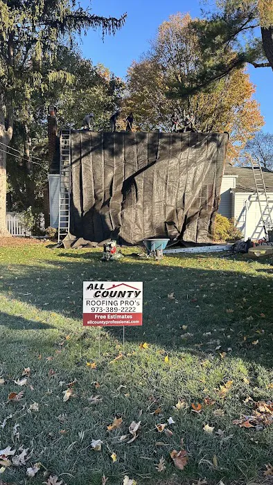 All County Professional Picture 2