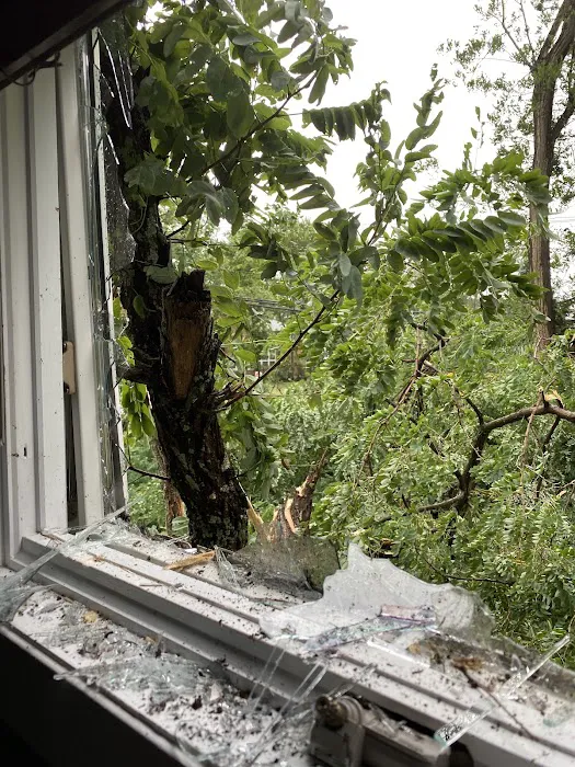 Alf's Roofing Inc Picture 5