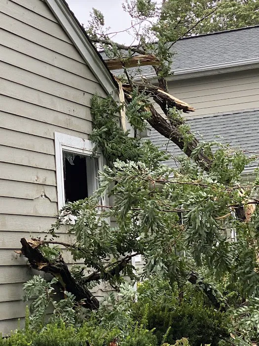 Alf's Roofing Inc Picture 6