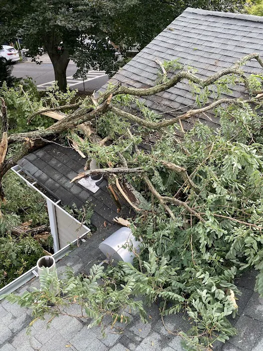 Alf's Roofing Inc Picture 10