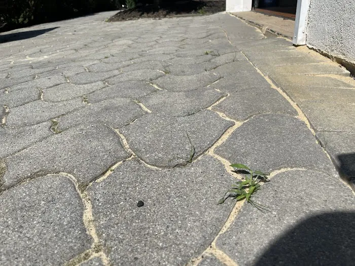 Accomplished Chimney Picture 1