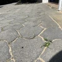 Accomplished Chimney ico