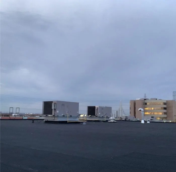 Home stars Reno Picture 3