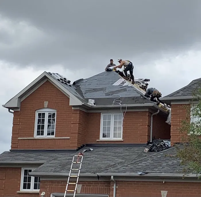 Home stars Reno Picture 4