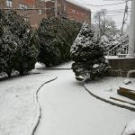 Port Chester Roofing Company